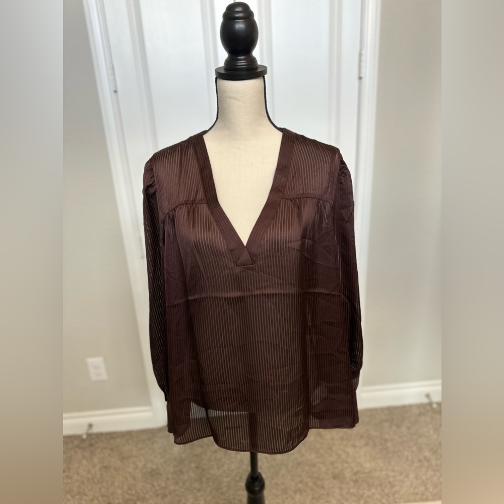 Express Sheer Long Sleeve Blouse Brown